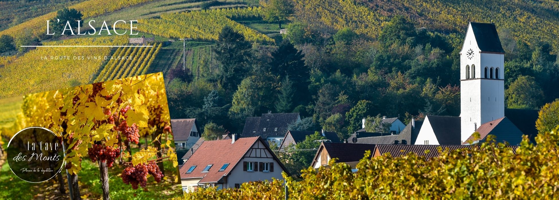 Vignobles de France alsace